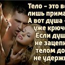 ���� ������, ���������, 54 ���� - ��������� 3 ������� 2017 � ������ ���� ����������