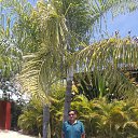  Nick2012on, , 53  -  6  2017