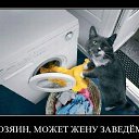 ���� ��������, �������, 52 ���� - ��������� 11 �������� 2016 � ������ �����������л