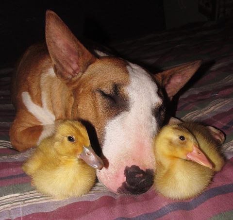 Всем баиньки