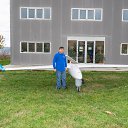 ���� Arman, ��������, 50 ��� - ��������� 8 ������ 2017 � ������ ���� ����������