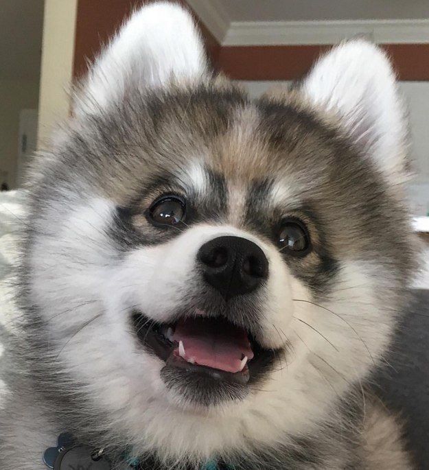 �����������, ��� ������ � ����� �������������� ����������� ����� �� �����. ���� �� ����� ����� ����� ... - 2