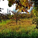  ,  -  7  2016                 λ