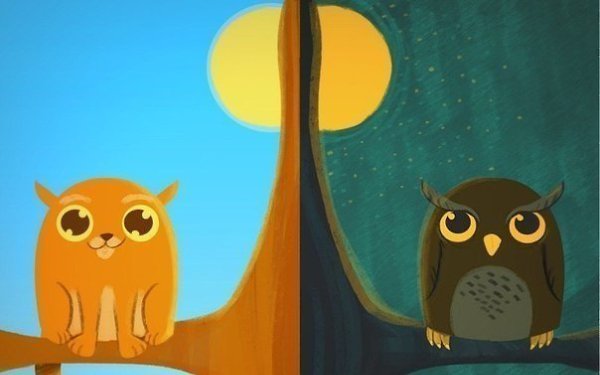 13 преимуществ «сов» — тех, кто ведет ночной образ жизни. Хотя в нашем обществе больше уважают ...