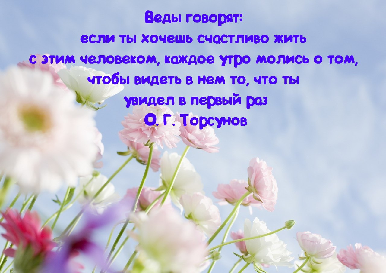 ПАПА+МАМА=Я - 30 октября 2016 в 16:48