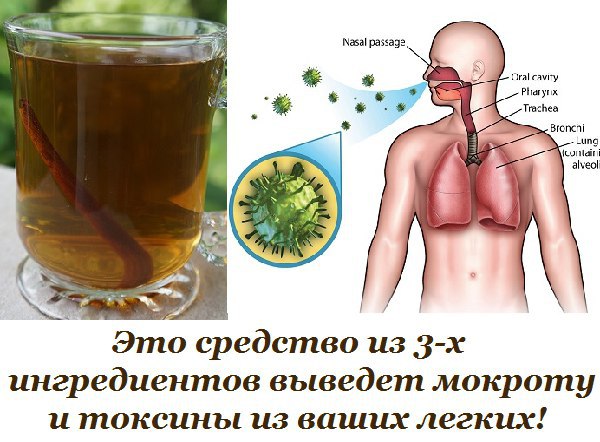 Это средство из 3-х ингредиентов выведет мокроту и токсины из ваших легких! Лучшее средство от ...