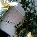 ���� ���������, �����-���������, 64 ���� - ��������� 29 �������� 2016 � ������ ���� �������� ����� !�