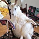 ���� �����, �������, 63 ���� - ��������� 9 ������ 2017 � ������ ���� ����������