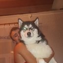 ���� ������, �����, 32 ���� - ��������� 15 ������� 2016 � ������ ���� ����������