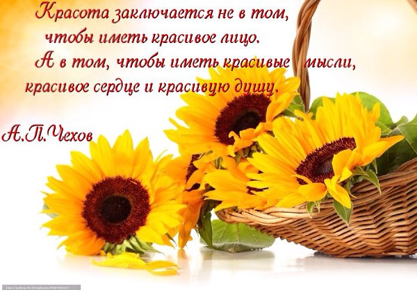  - 1  2016  11:53