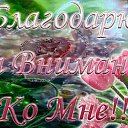 ���� ��������, ������, 56 ��� - ��������� 24 ������ 2017