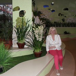 ���� ������, ���������, 63 ���� - ��������� 10 ������� 2016