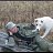 ���� Sergey, ������������ - ��������� 7 ������� 2016