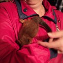 ���� �����, ��������, 57 ��� - ��������� 22 �������� 2016 � ������ ������ ��������