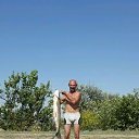 ���� ��������, ����������, 56 ��� - ��������� 25 ����� 2017 � ������ ���� ����������