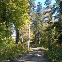 ���� ���, ��������, 58 ��� - ��������� 21 ������� 2016 � ������ ����� , ����.....�