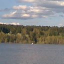 ���� ������, �����������, 50 ��� - ��������� 29 ������ 2016 � ������ ���� ����������