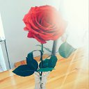���� �����, ������������, 46 ��� - ��������� 30 ����� 2017 � ������ ���� ����������