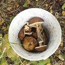 �� ���-���� �� ������� �������� ����