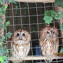 ���� Oleg, ������� ����, 78 ��� - ��������� 14 ������� 2016 � ������ ���� ����������