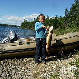 ���� ���������, ���������� - ��������� 20 ������� 2017