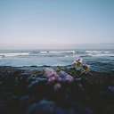 ���� Vlad, ������ - ��������� 1 ������ 2017 � ������ ���������