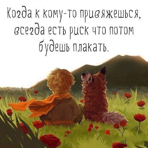  | ,  - 26  2017  23:07