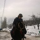 ���� �����, ������, 37 ��� - ��������� 9 ������� 2017 � ������ ��� ������ � � �������