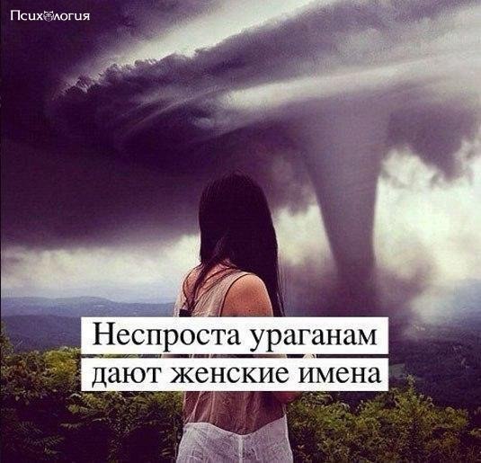  - 15  2017  16:06
