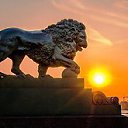 ���� Olta, �����-���������, 61 ��� - ��������� 22 ������� 2016 � ������ ������ ��������