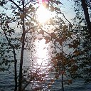 �������� �� ������� ���� ����������