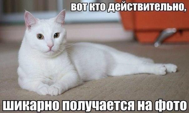    - 1  2017  07:11