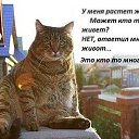 ���� Galina, �����-��������� - ��������� 20 ������ 2016 � ������ ������ ��������