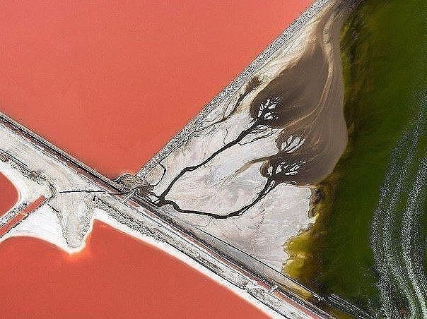 10 ���������� ��� ��������, ��� ���������� �������� � �������� - 3