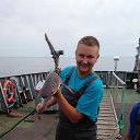 ���� ����, �����������, 43 ���� - ��������� 5 ������� 2017 � ������ ���� ����������