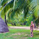 ���� ������, ������, 43 ���� - ��������� 15 ������� 2017 � ������ ���� ����������