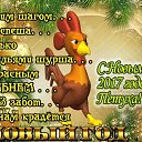  Nina Nikolaevna,  -  27  2016    