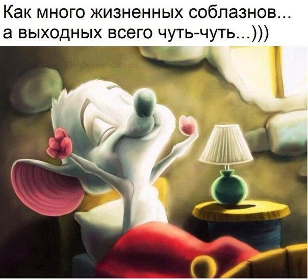   - 10  2017  23:47