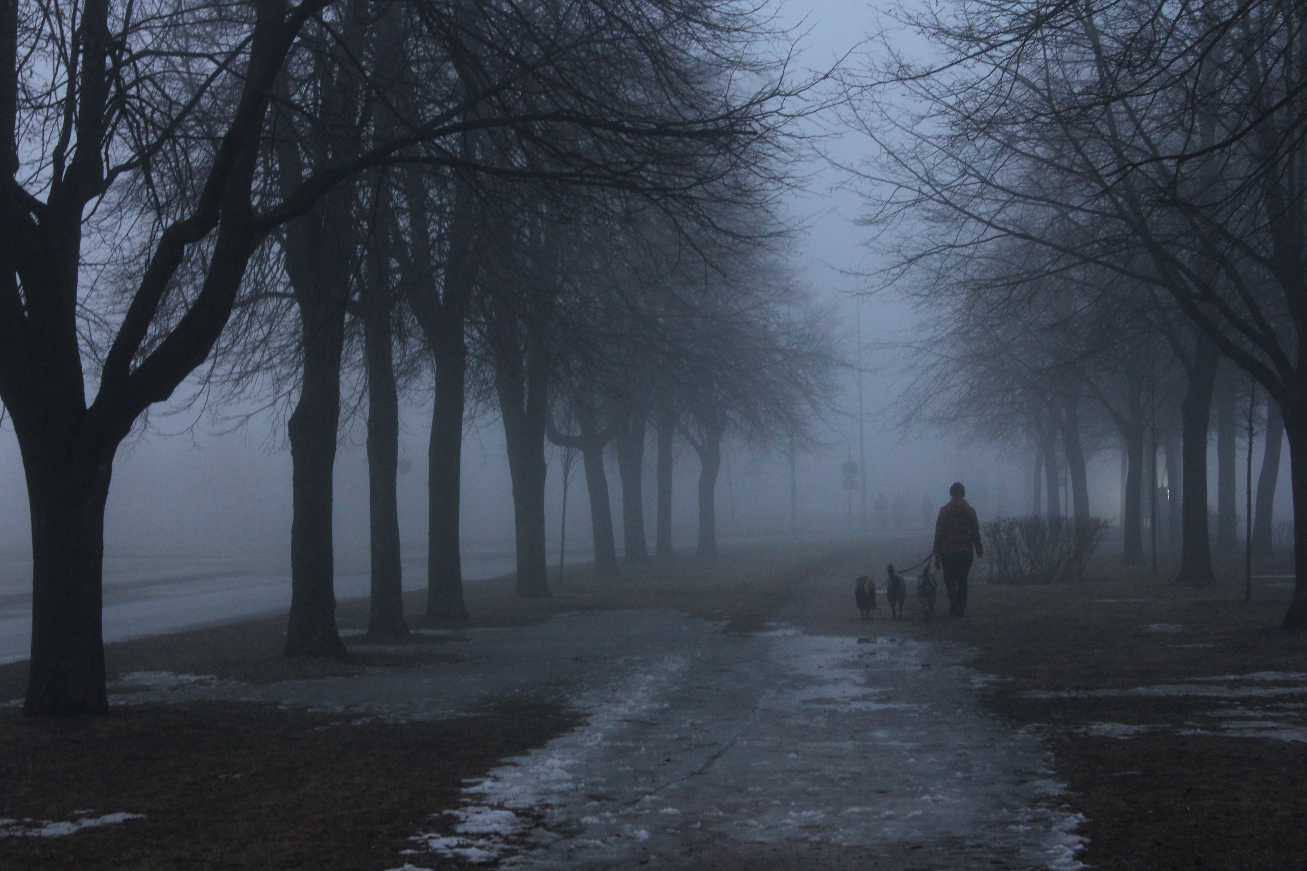  - 13  2017  16:54 - 15