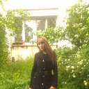  , , 45  -  11  2016   ))