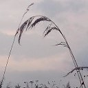 ���� ����, ���������, 67 ��� - ��������� 3 ������ 2016 � ������ ���� ����������