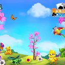 ���� ������ �����������, ���, 52 ���� - ��������� 15 ����� 2017 � ������ �������� �������-�������