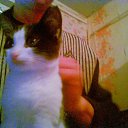 ���� �������, ����, 32 ���� - ��������� 19 ����� 2017 � ������ ���� ����������