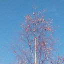 ���� �����, ������, 54 ���� - ��������� 21 ������� 2016 � ������ ��������� ����...�