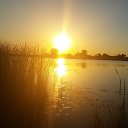 ���� ������, ������ - ��������� 14 ������ 2017 � ������ ���������