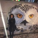 ���� �������, ������, 49 ��� - ��������� 28 ������ 2016 � ������ ���� ����������