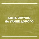  , , 55  -  11  2017    