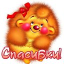 ���� Jevgenia, ������ - ��������� 13 �������� 2016 � ������ ���� ����������