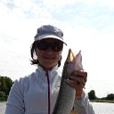 �������� 2016 �. �� ������� ���� ����������