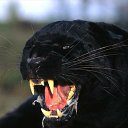 ���� ����� (98 Rus), �����-��������� - ��������� 19 ������ 2016 � ������ ������ ��������